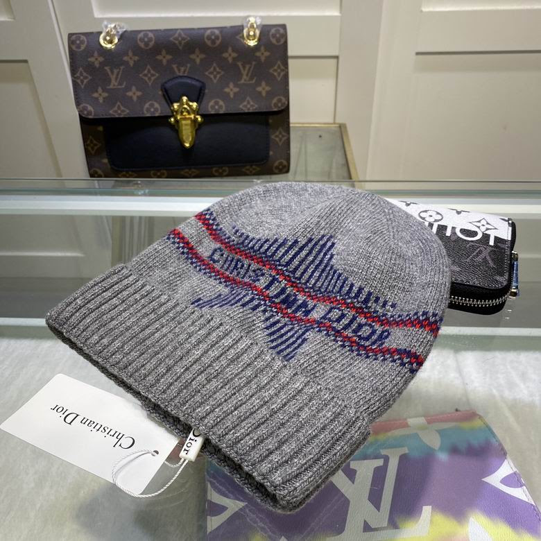 Dior Beanie ID:20220224-46